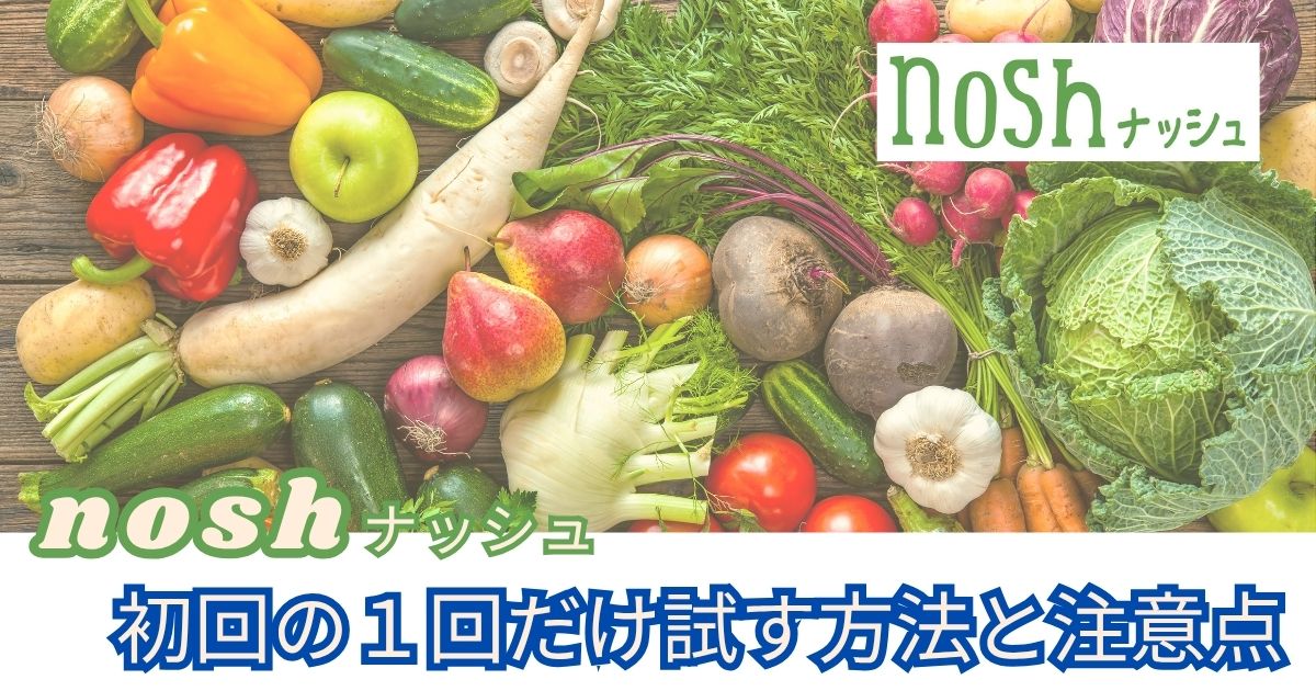 ナッシュ 初回の1回だけ試す方法と注意点