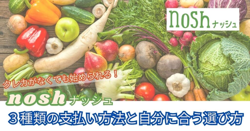 ナッシュの支払い方法について